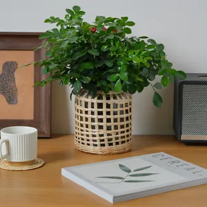 Dettaglio manicotto per vaso in vetro intrecciato di paglia, decorazione naturale.