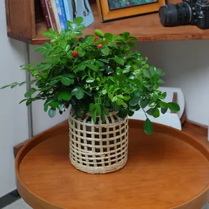 Copertura in paglia intrecciata a mano per bottiglia con vaso in vetro, decorazione casa minimal.