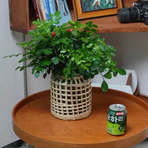 Vaso in Vetro Intrecciato di Paglia Fatto a Mano Decorazione per la Casa Soprammobile da Tavolo Porta Vaso di Fiori Soggiorno Scrivania
