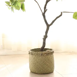 Handmade woven storage basket with artificial tree plant for home living room decor details.