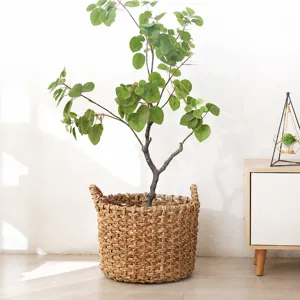Nordic Handmade Rattan Woven Flower Pot Basket Natural Plant Storage Basket Desktop Flowerpot Home Decor Organizer