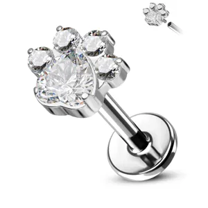 Titanium Internally Threaded Flat Back Stud Earrings Dog Paw Rhinestone Piercing Jewelry For Cartilage Tragus Conch Women