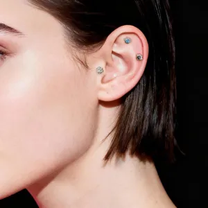 Titanium cartilage tragus helix piercing jewelry featuring cute dog paw crystal studs.