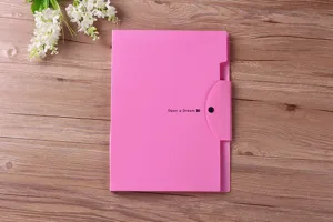 Detail view of the pink A4 plastic accordion document organizer bag with snap button.