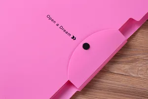 Pink A4 plastic accordion folder detail view, durable PP expanding document organizer