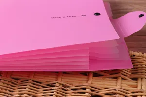 Pink A4 accordion document organizer detail, multi-layer PP file folder with snap closure.