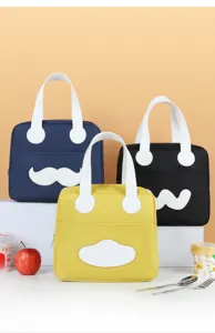 Korean minimalist lunch bag student bento handbag large capacity insulated thermal bag