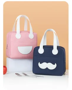 Korean style minimalist lunch bag, large capacity portable insulated food cooler bag.