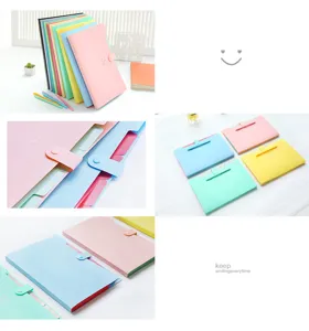 Pastel A4 plastic accordion folder with snap button, multi-layer document organizer bag.