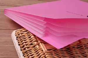 Pink A4 expandable accordion folder, durable plastic multi-layer document organizer detail.