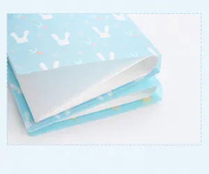 Detailed close-up of blue cartoon card holder featuring clear slots and cute rabbit pattern.