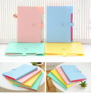 A4 plastic expanding file folder with 5 pockets, cute pastel accordion document organizer.