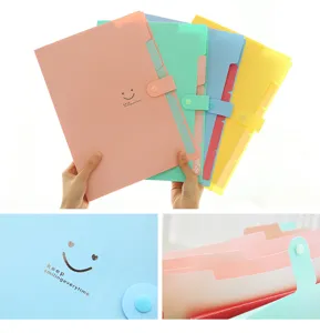 A4 plastic accordion folder with 5 colorful pockets, document organizer bag for office.