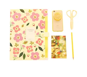 Korean style floral 6-pocket accordion folder file organizer for office and school use.