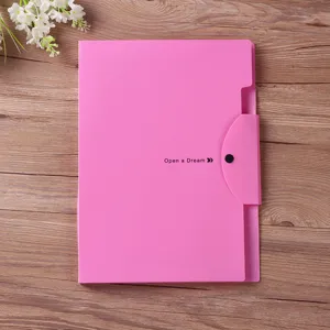Pink A4 expandable accordion file folder, multi-layer document organizer for office use.