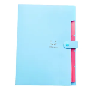 Light blue A4 plastic expanding file folder with 5 pockets, snap button, and pink index tabs.