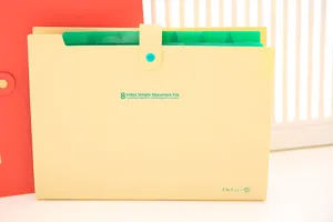 A4 expanding file folder with 8 pockets, plastic document organizer for office and school.