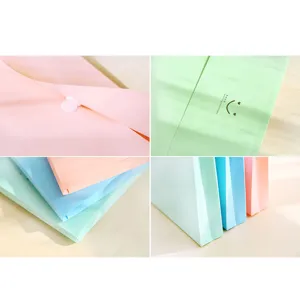 Close-up details of pastel plastic document folders showing button closure and cute design.