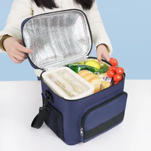 Insulated lunch bag large capacity waterproof oxford cloth cooler bag for work and school