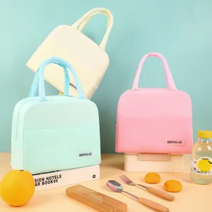 Minimalistische Effen Geïsoleerde Lunchtas Waterdichte Thermische Tote Bag Draagbare Voedsel Picnic Opbergtas Voor Kantoor School Werk