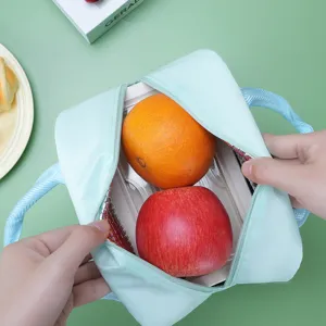 Geisoleerde lunchtas voor kantoorwerknemers draagbare koeltas in mooie groene kleur