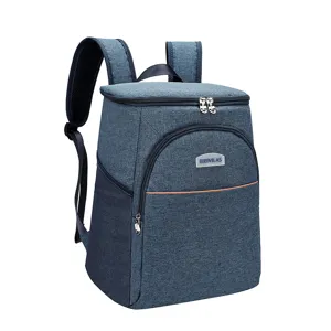 Blue insulated cooler backpack for outdoor picnic, travel, and food storage with dual straps.