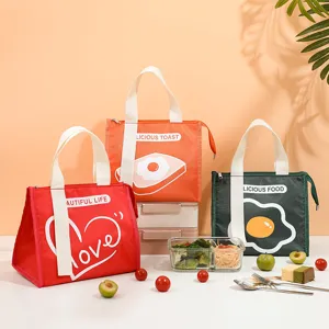 Ins style insulated lunch bag large capacity waterproof student bento storage tote bag