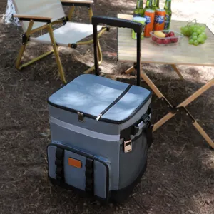 Sac Glacière à Roulettes Grande Capacité Extérieur Pique-Nique Sac Isotherme Portable Avec Roues et Barre de Traction