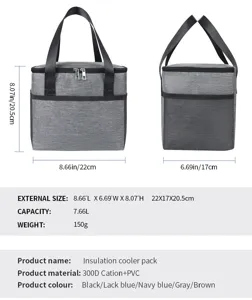 Detailed size and specification chart of portable insulated cooler lunch bag for outdoor picnic.
