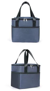 Detailed view of insulated lunch bag, showing durable zipper, mesh pocket and sturdy handles.