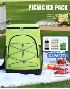 Large capacity waterproof picnic ice backpack with thermal insulation for outdoor travel.