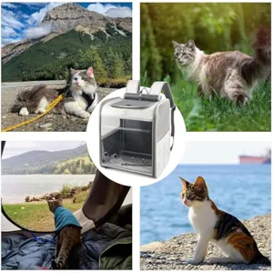 Breathable transparent pet cat backpack for outdoor travel, portable pet carrier bag design.