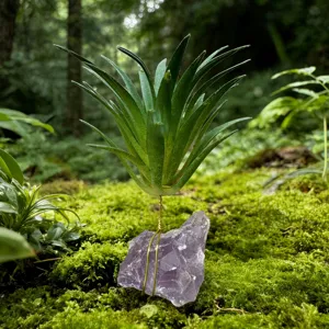 Vue de détail du support de plante aérienne en cristal, base d'améthyste naturelle.
