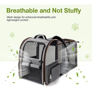 Expandable pet backpack detail, breathable mesh design, portable folding pet carrier bag.