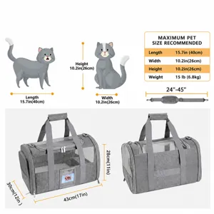 Tragbare atmungsaktive Katzen-Tragetasche faltbare Haustiertasche mit Maßen 43x30x28cm