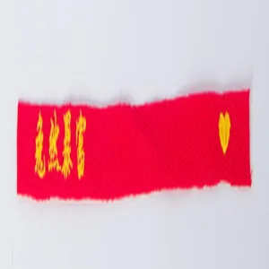 Rotes besticktes Stoffband Detail, Bastel-Webband Nahaufnahme, DIY Zubehör Präsentation.