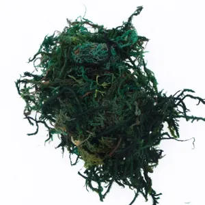 Preserved green moss material for micro landscape DIY wall decor and craft projects 60g