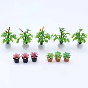Vue rapprochée de plantes succulentes miniatures de maison de poupée, micro paysages verts.
