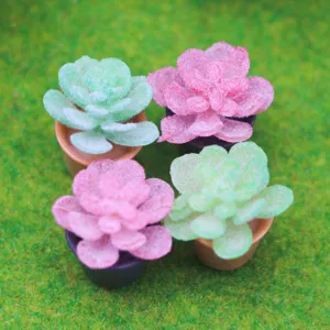 Miniature succulentes plantes en pots maison de poupée jardin micro paysage simulation.