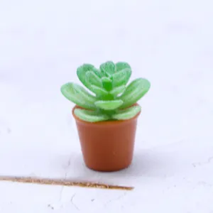 Détail de plante grasse artificielle miniature en gros plan pour décoration de maison de poupée.