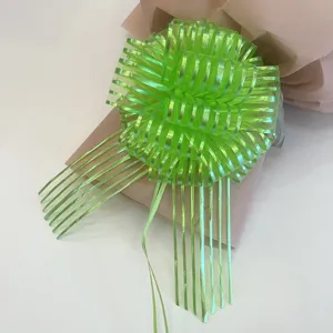 Green decorative gift ribbon pull bow detail, perfect for Christmas present wrapping.