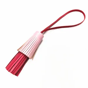Nahaufnahme Detail der luxuriösen zweifarbigen Leder Quasten Taschenanhänger mit langem Band.