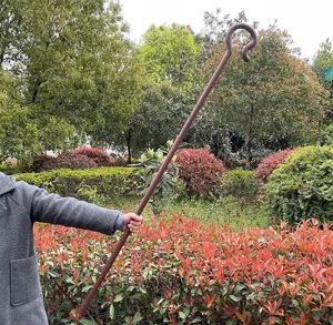 Halloween costume prop shepherd cane scepter, detailed view of the brown cosplay stick.
