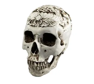 Resin carved human skull model with vintage decorative floral patterns for Halloween and decor.