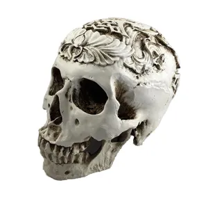 Detailed close-up shot of resin carved human skull model, antique white decorative ornament