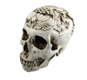 Resin carved skull model, human head bone sculpture for Halloween decor and fish tank.