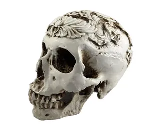 Detail shot of carved resin skull model with intricate floral top design and vintage finish.