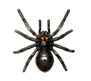 Detailed view of translucent plastic spider toy, glowing LED eyes, Halloween scary prop.