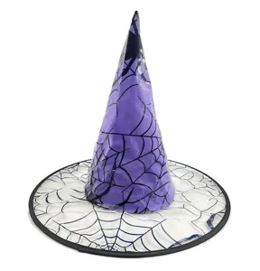Halloween paarse spinnenweb heksenhoed feest kostuum puntmuts tovenaar hoofddeksel