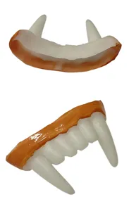 Close-up detail shot of vampire fangs fake teeth prop with realistic orange gums.